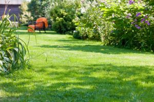 travaux jardin et paysage Devesset